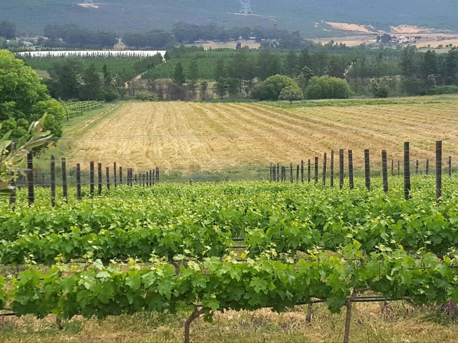 Lemberg Wine Estate Villa Tulbagh Eksteriør bilde